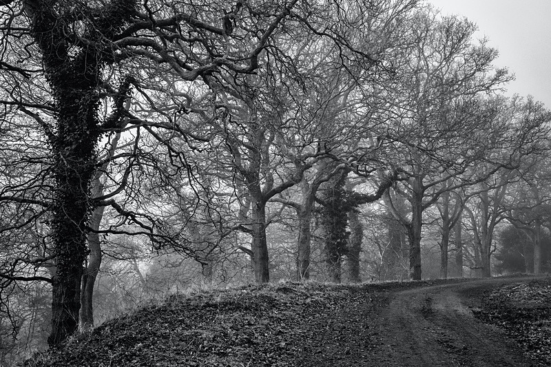 Along the Speculation Trail - Mainly Black & White