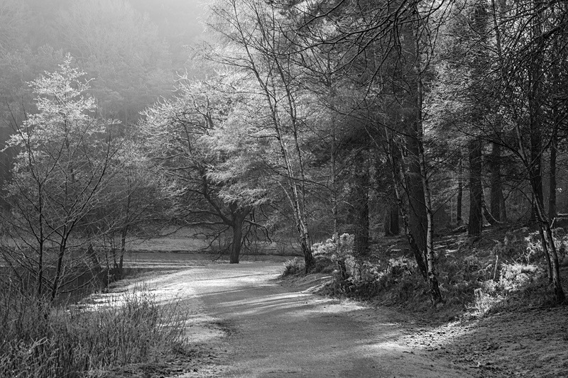 Morning Frost at Mallards Pike - Mainly Black & White