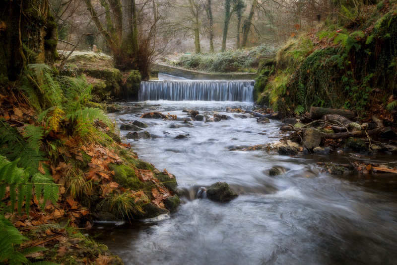 Forest of Dean Landscape Photography by David Tinsley