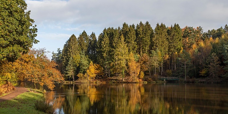 Early Autumn Reflections - Panoramic Canvas