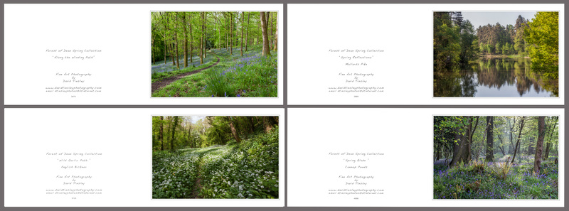 Spring No.1 - Landscape Cards