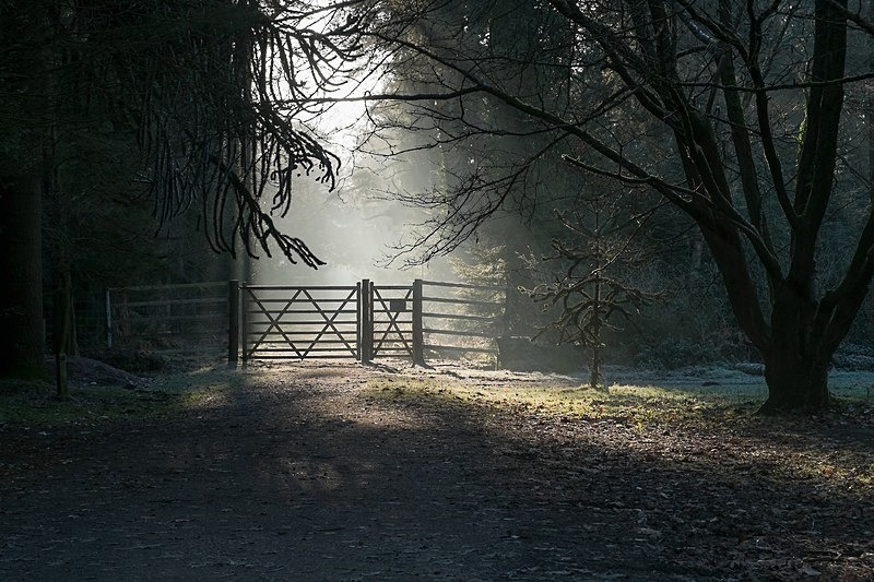 Sunlit Gateway - Winter