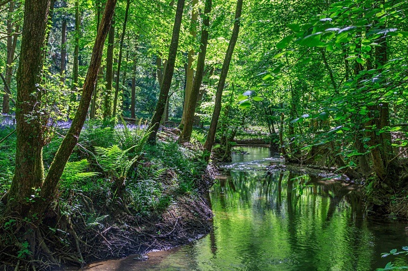 Reflections along the Lyd - Spring