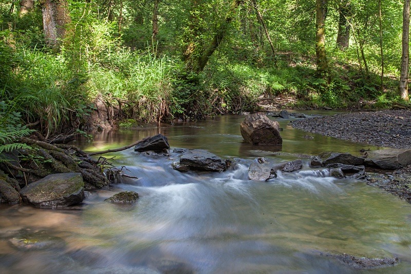 Upstream - Summer