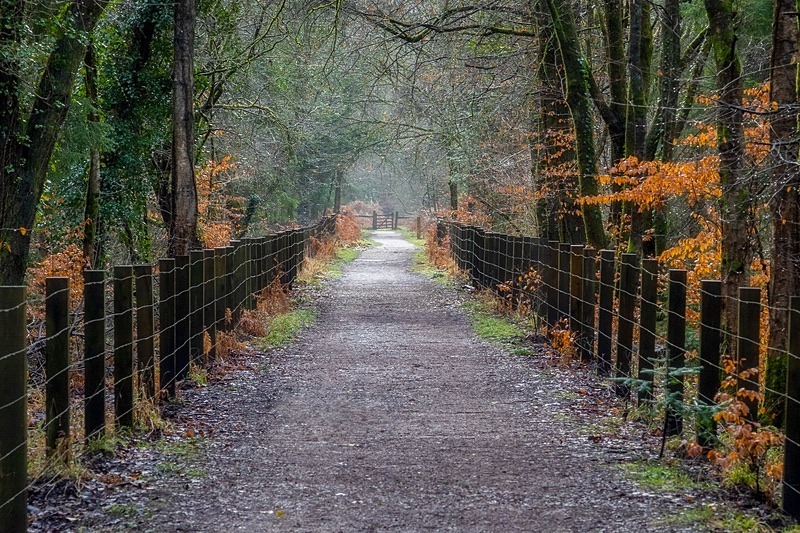 Towards Mallards Pike - Winter