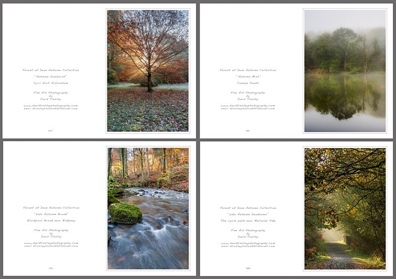 Autumn Portrait No.2 - Portrait Cards