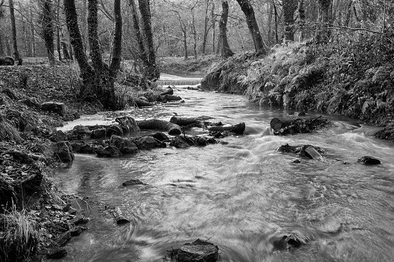 Winter Brook in Monochrome - Mainly Black & White
