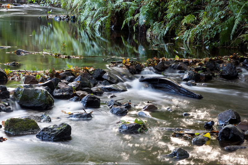 Beside the Brook - Autumn