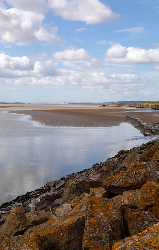 Tides Out - Summer