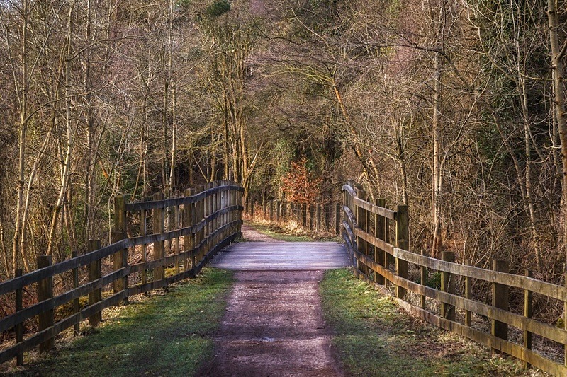 Along the Cycle Path - Winter
