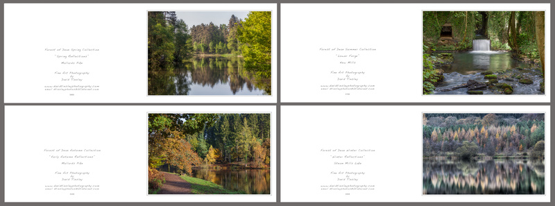 Reflections No.2 - Landscape Cards