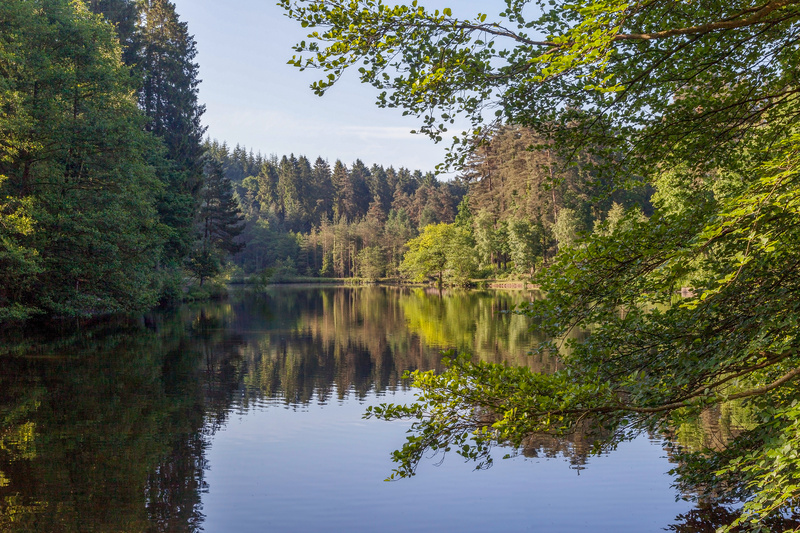 Morning reflections at Mallards Pike - Summer