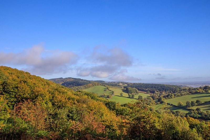 Autumn  landscape Blakeney Hill  No.2 - Autumn