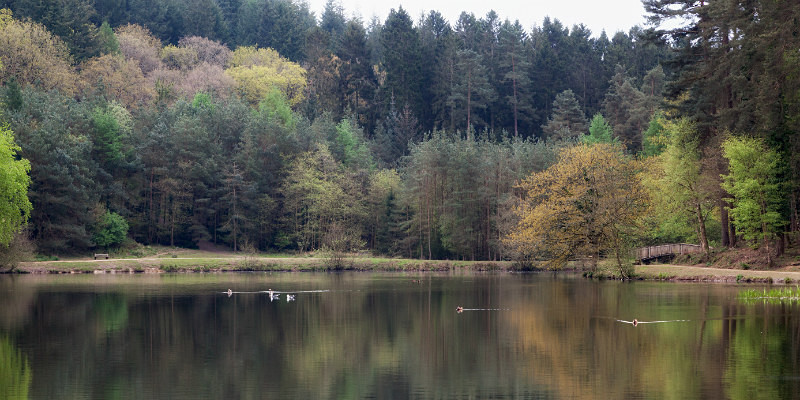 Mallards Pike - Panoramic Canvas