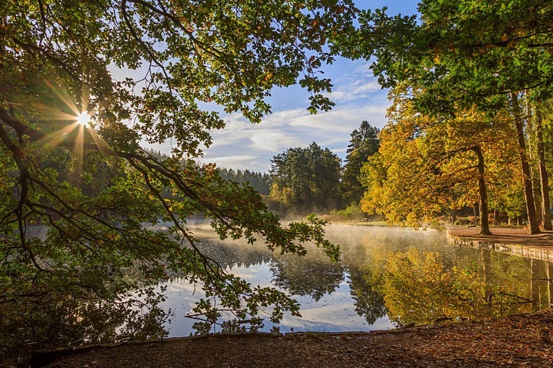 Sunrays at Mallards Pike - Autumn