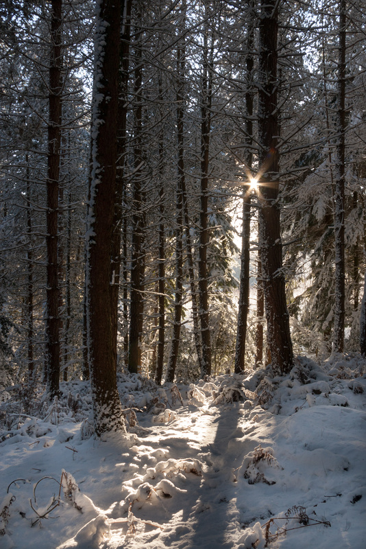 Winter Sunrise - Winter
