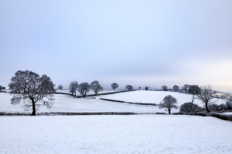 Snowy Landscape - Winter