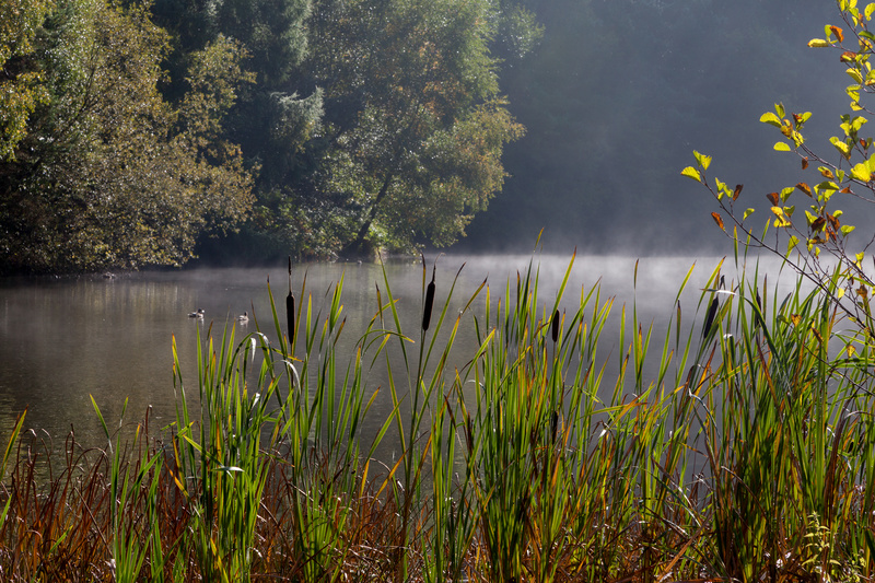 Summer Mist at Mallards Pike - Summer