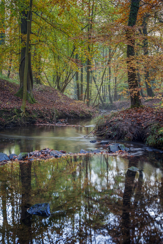Autumn along the Brook - 2 - Autumn