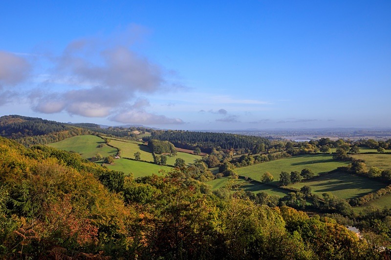 Autumn  landscape Blakeney Hill  No.1 - Autumn