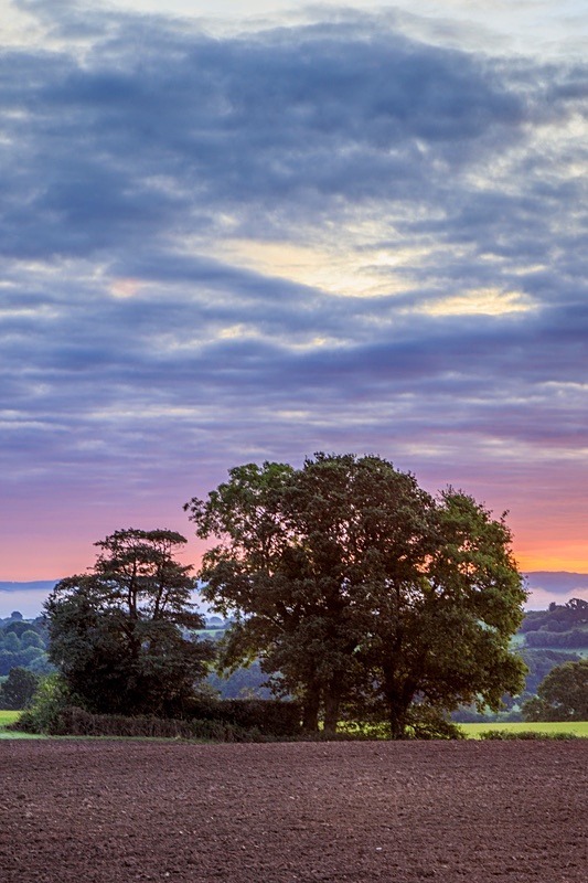 Late September Sunrise - Autumn