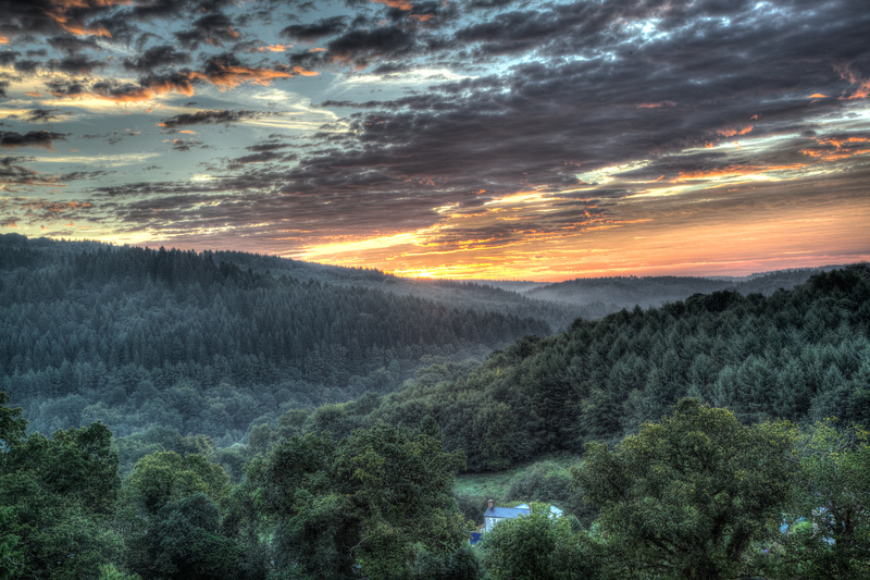 Forest of Dean Landscape Photography by David Tinsley