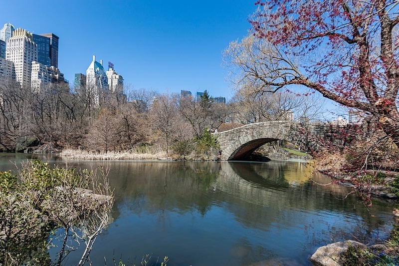 Spring Time Central Park - Travel