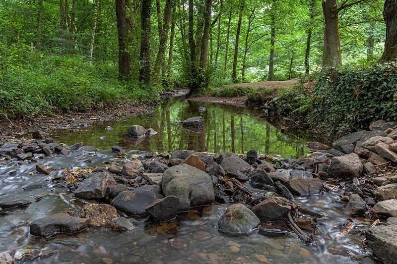 Blackpool Brook – 3 - Summer