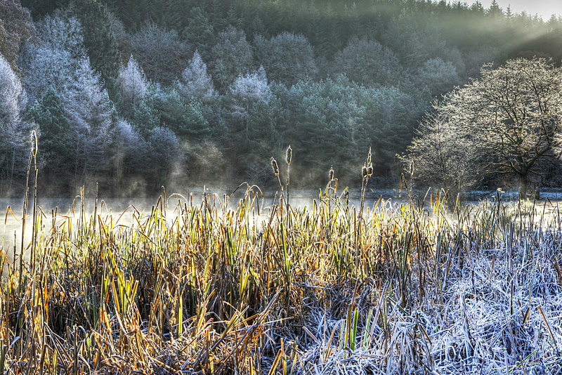 Frosty Start - Winter