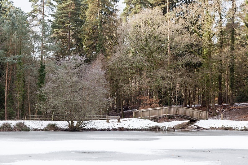 Winter at Mallards Pike - 1 - Winter
