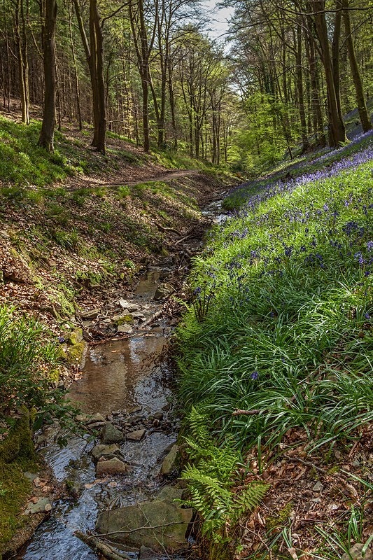 Running Through - Spring