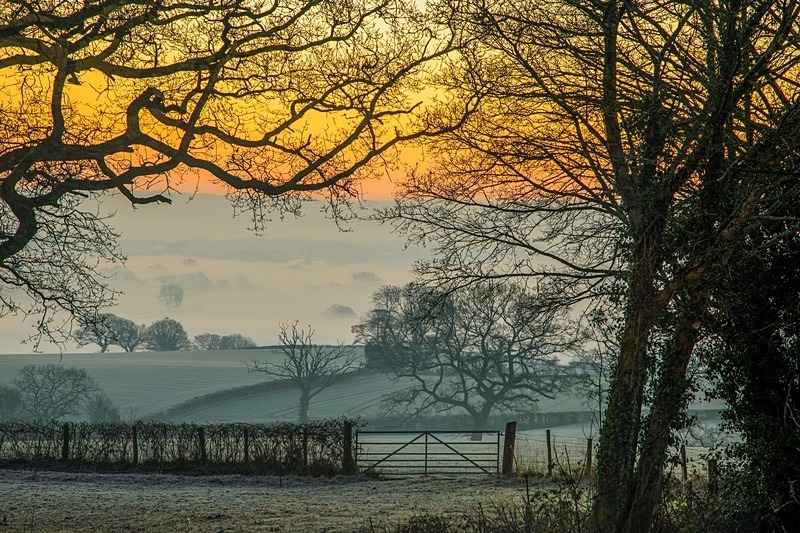 Misty Sunrise - Winter
