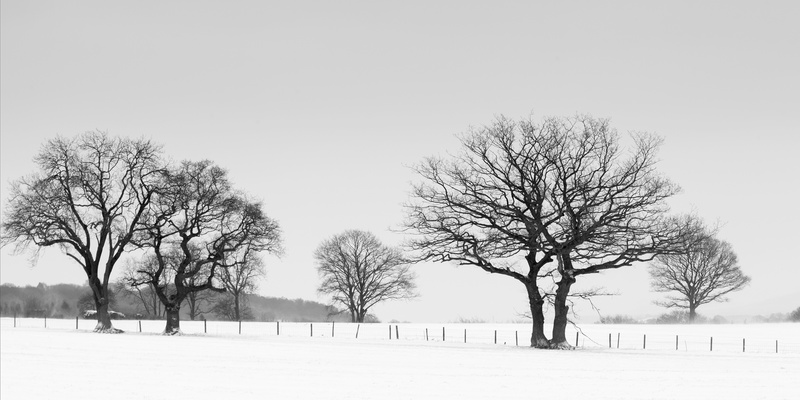 Snowy Panorama - Mainly Black & White