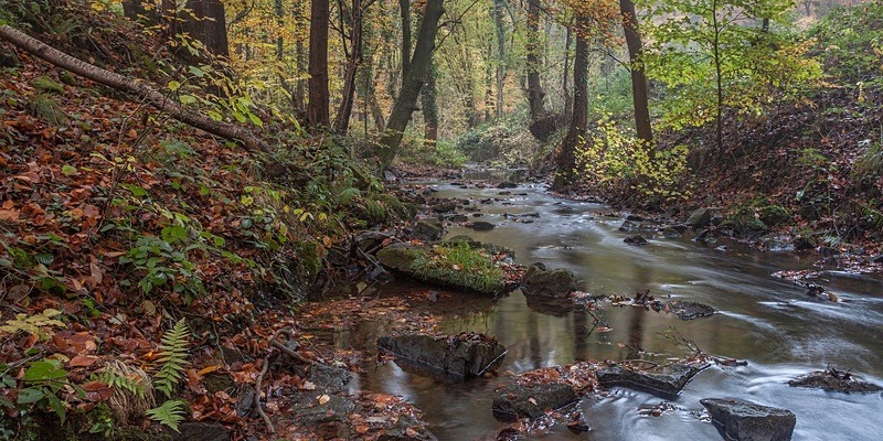 Autumn along Blackpool Brook - Panoramic Canvas