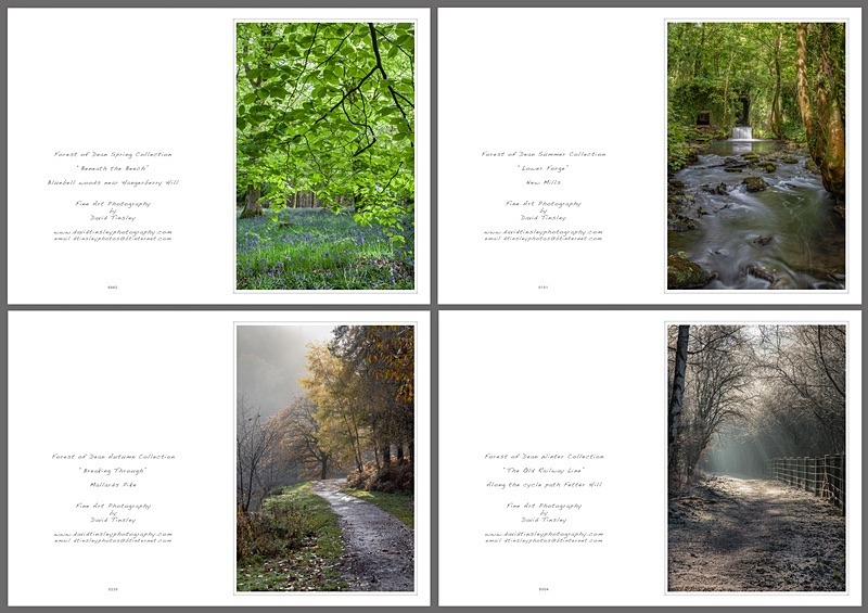 4 Seasons Portrait No.1 - Portrait Cards