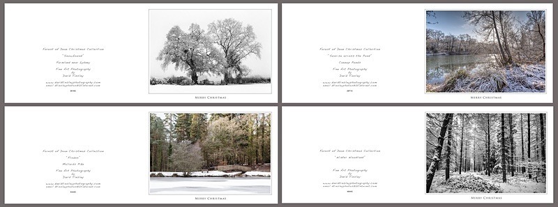 Christmas Landscape  No2 - Christmas Cards