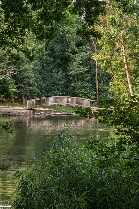 Cannop Footbridge Reflections - Summer