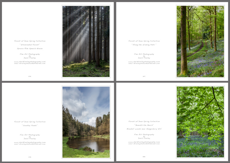 Spring Portrait No.1 - Portrait Cards