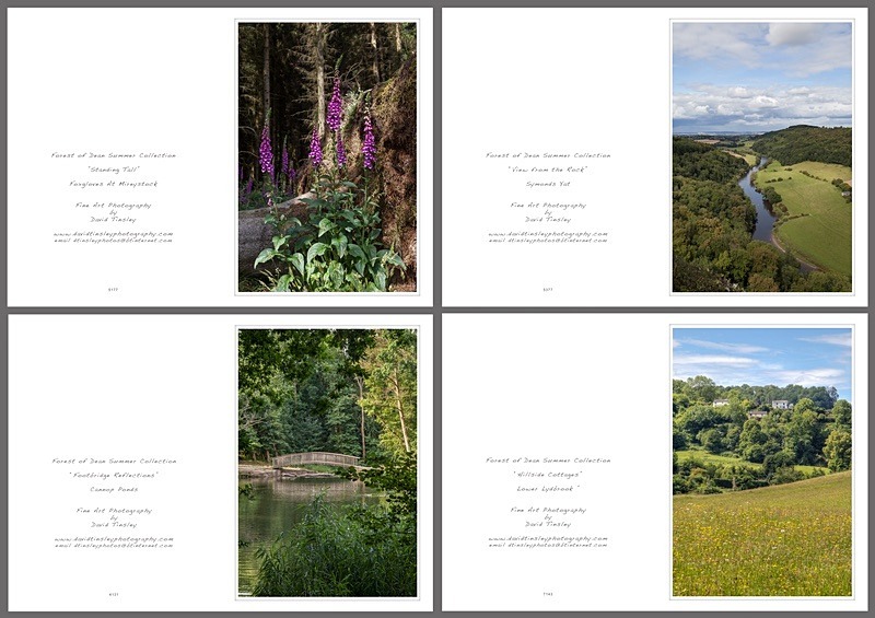 Summer Portrait No.1 - Portrait Cards