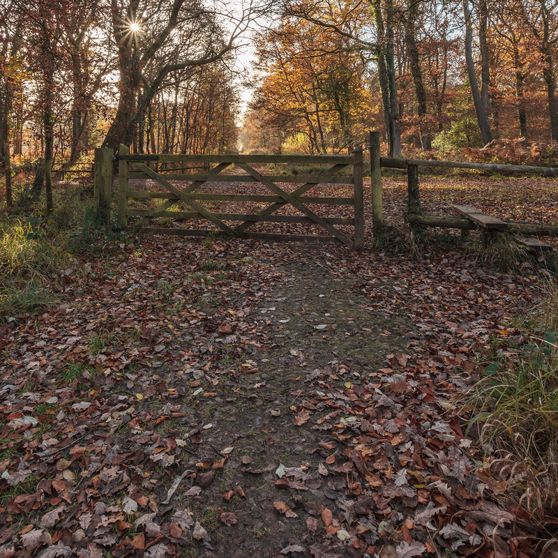 Over the Stile - Square Canvas