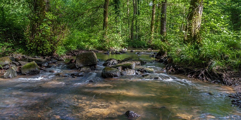 Over the Rocks - Panoramic Canvas