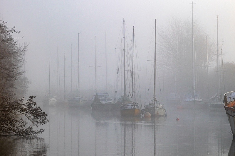 Misty Harbour Reflections - Winter