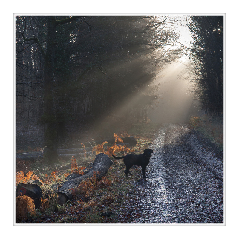 Waiting Patiently - Square Canvas