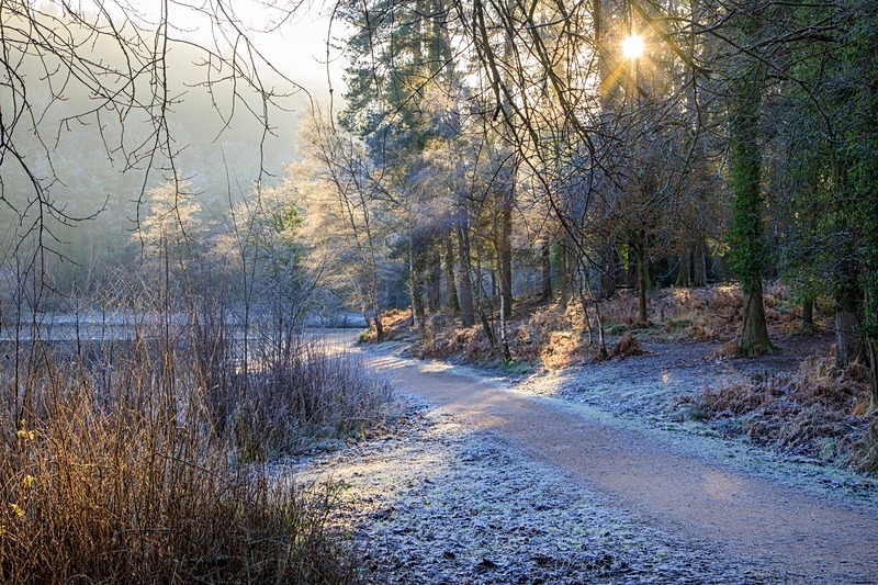 Morning Frost at Mallards Pike - Winter