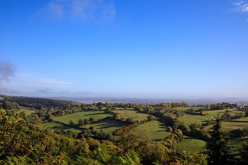 Autumn  landscape Blakeney Hill  No.3 - Autumn