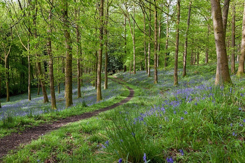 Along the Winding Path - Most Popular Images