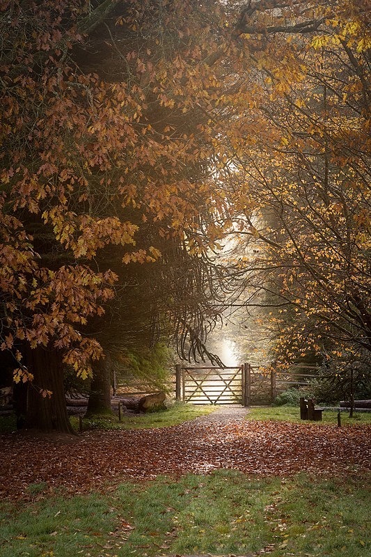 Autumn Gateway - II - Autumn