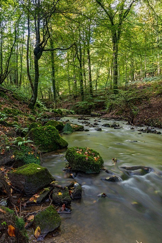 Early Autumn - Autumn