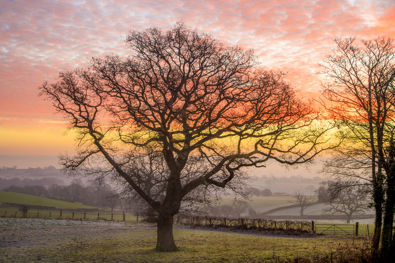 February Sunrise - Winter
