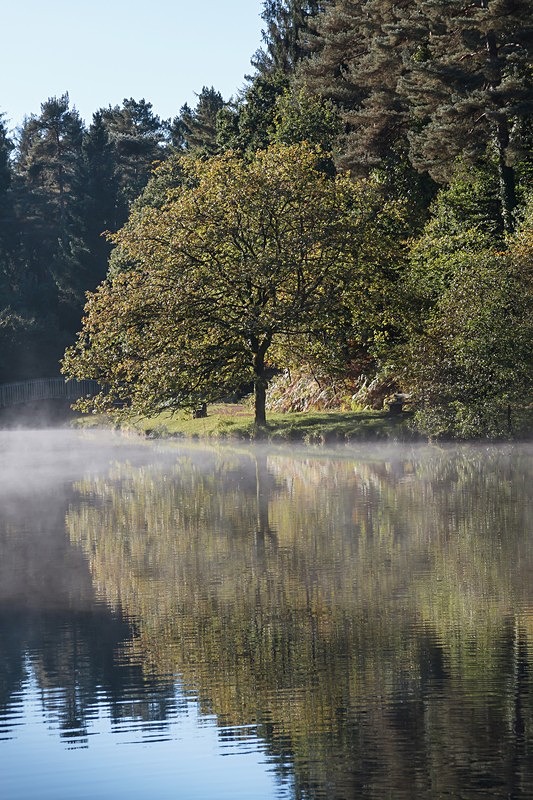 Misty Mallards Pike - 2 - Autumn